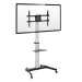 TTAP CART02 aluminium TV cart with mounted 75″ screen and AV shelf TTAP, IC PLUS