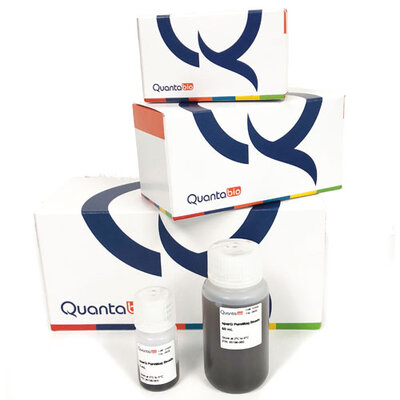 sparQ PureMag Beads, 5mL