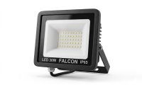 Falcon 30 Watt 3,100 Lumen LED Floodlight