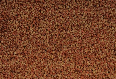 SPECTRUM TONALS 440610 4M