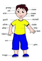 Poster - Body Boy (Irish)