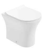 PE&Ntilde;A RIMLESS BACK TO WALL WC & SEQUENCE SLIM SOFT CLOSE SEAT