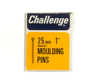 Challenge Bright Steel Moulding Pins  Veneer 25mm 30g