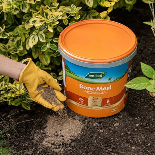 Westland Bone Meal - 10kg