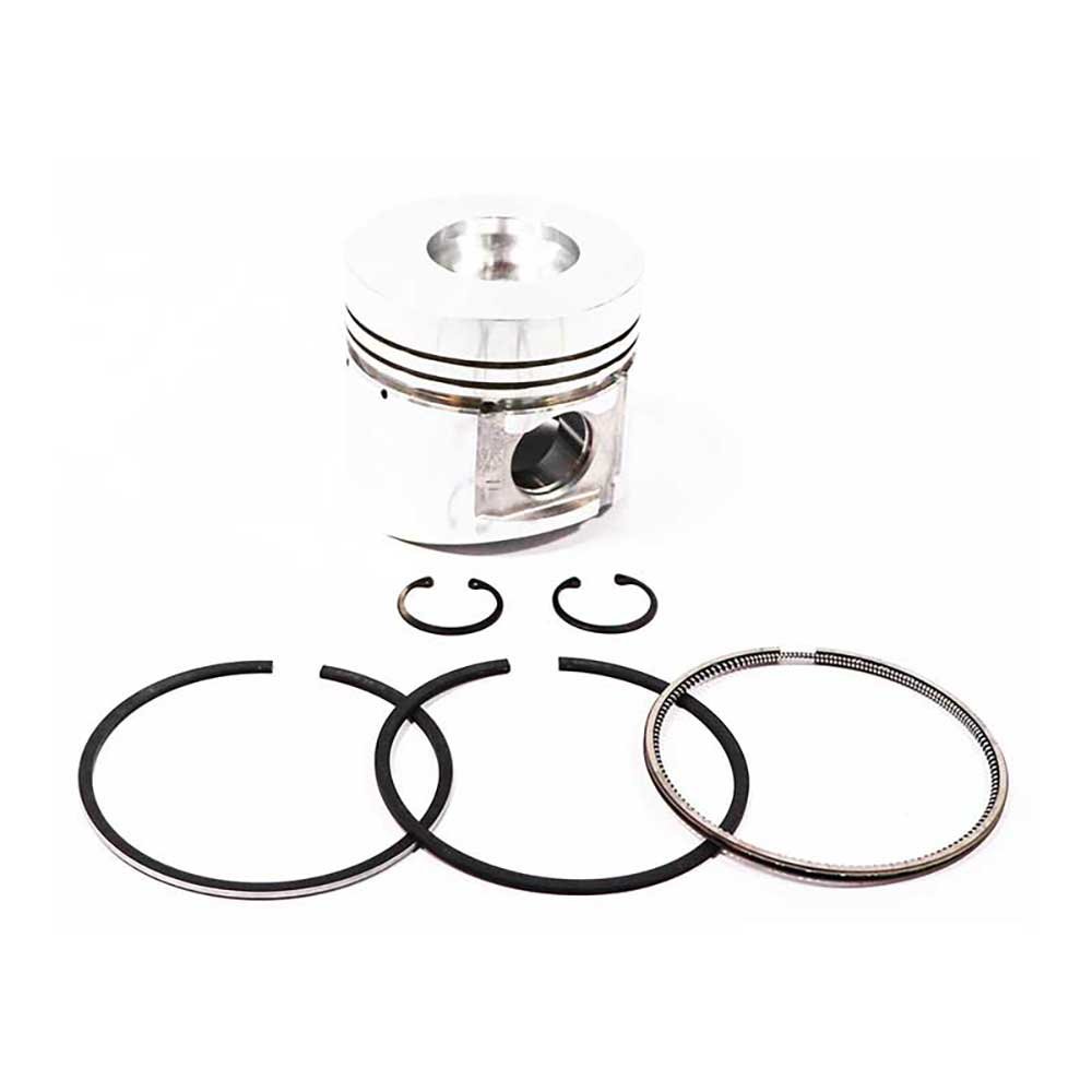 PISTON, CLIPS & RINGS
