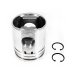 PISTON & CLIPS