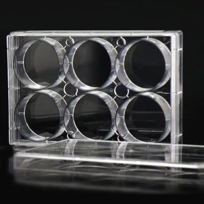 Cell Culture Plates