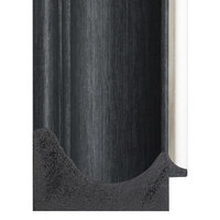 Charcoal Silver Sight