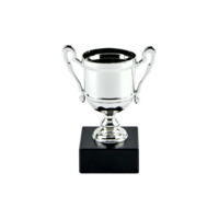 14cm Cast Metal Cup - Silver (V202S)