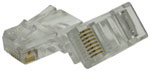 Philex CAT6 RJ45 Connector  100pc