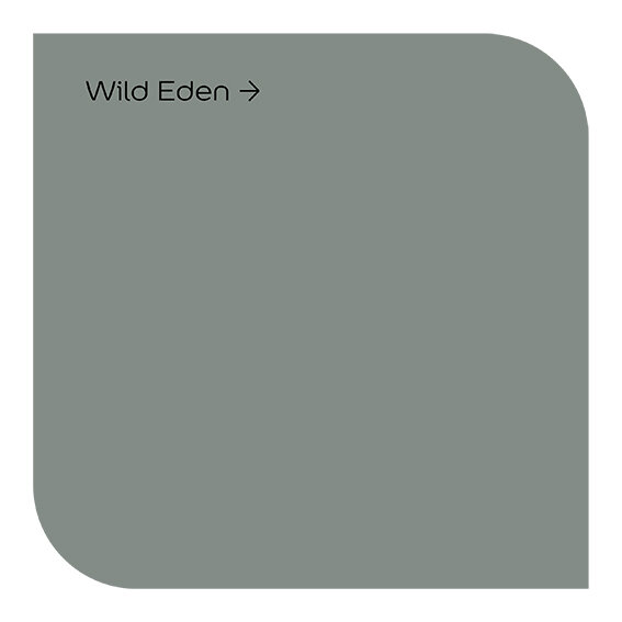 Dulux Easycare Bathrooms Wild Eden Paint Pat McDonnell Paints