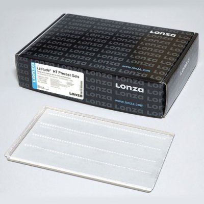 Latitude&reg; HT Precast Gel 1%, TBE, with Ethidium Bromide, 24 cm X 14 cm, 4 X 50 well