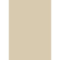 Farrow & Ball Stony Ground Colour Swatch