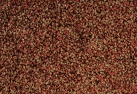 SPECTRUM TONALS 440640 4M