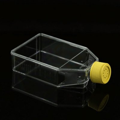 Cell Culture Flask