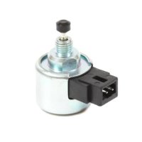 Briggs & Stratton Fuel Solenoid