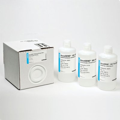 AccuGENE&reg; 20X SSC Buffer (500ml)