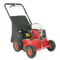 CAMON LS42 Lawn Scarifier