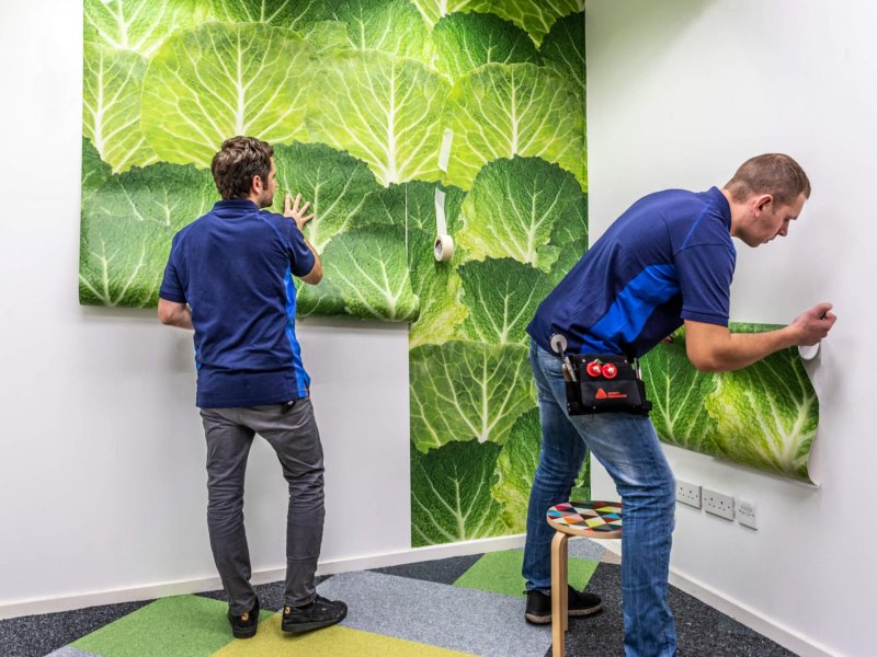 Wall Graphic Vinyls and Applications