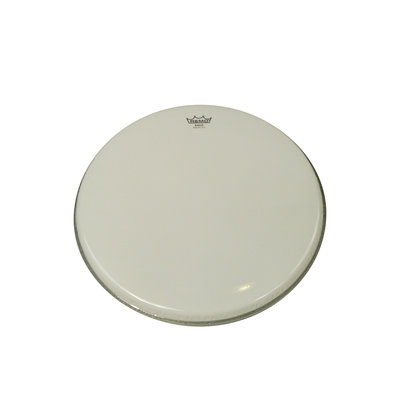 Remo banjo head, smooth finish