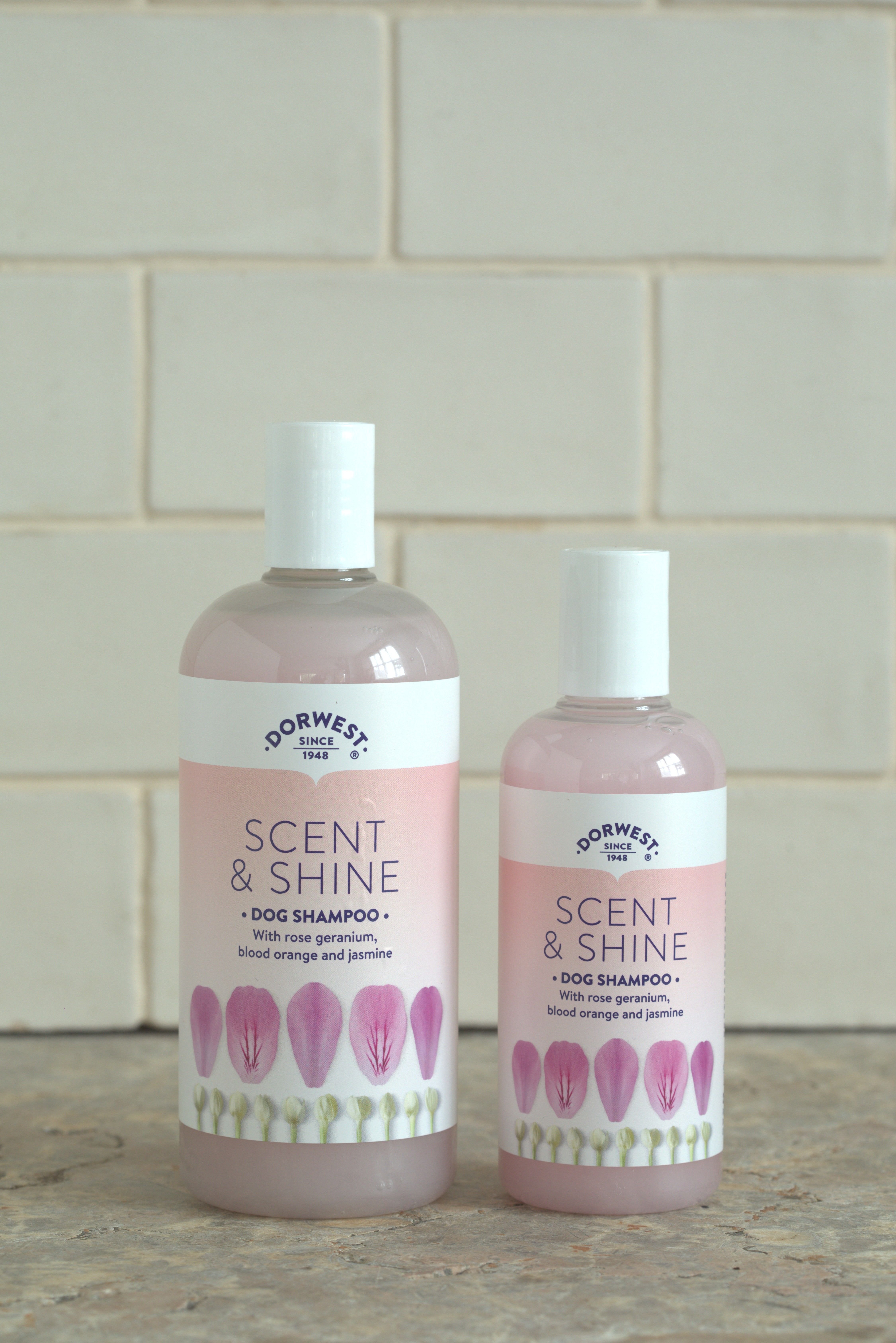 Dorwest Scent & Shine Dog Shampoo 250ml