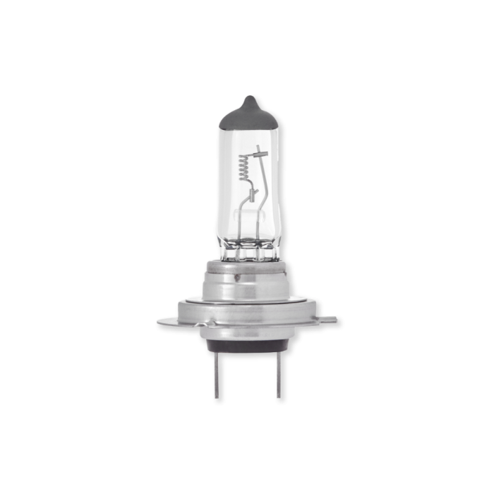 H7 24V 70W Halogen Bulb