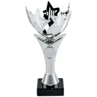 27cm Glenfarne Star Cup Winged Spacer