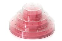 POP STAND/ PINK 3PCE