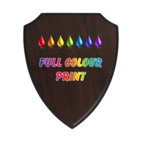 22.5cm Walnut Shield - UV Printed