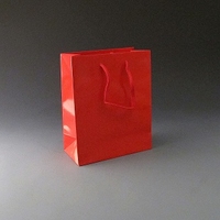 Small Red Luxury Bag