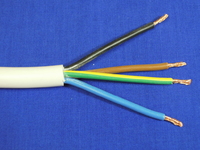 4 Core 2.5 Sqmm White Heat Resistant Flex