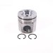 PISTON BODY C/W CLIPS