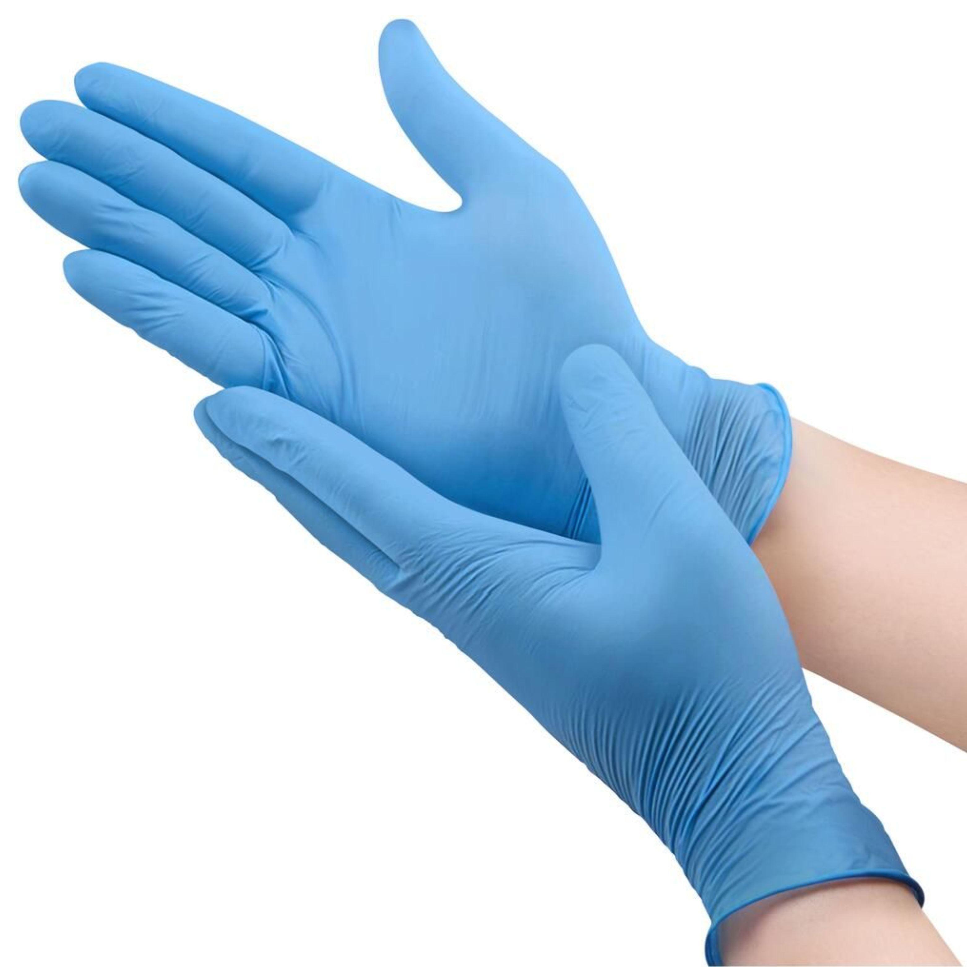 Bodytech Nitrile Powder Free Gloves, Bulk Pack