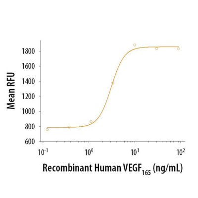 Protein, Recombinant Human VEGF 165 Protein, CF, 50 &micro;g