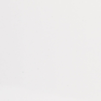NEPTUNE WHITE GLOSS 250MMX2.7M PK4