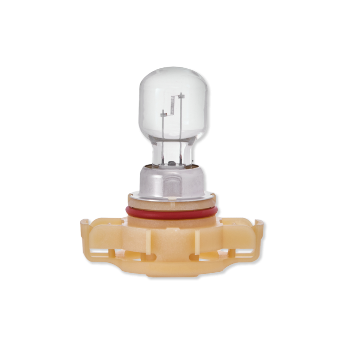 12V 24W PG20/7 Hipervision Bulb