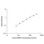 ELISA Kit, Human Free BDNF Quantikine ELISA Kit, 1 Kit
