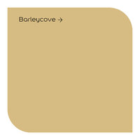 Dulux Weathershield Barleycove Colour Swatch