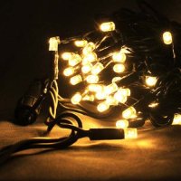 30M 300 LED Warm White Indoor/Outdoor String Lights