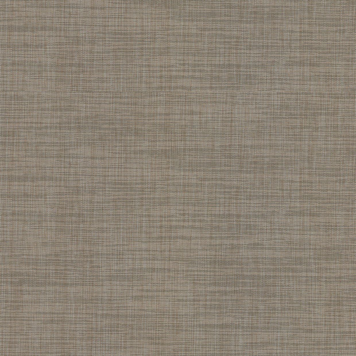Woven Beige - NG07