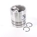 PISTON BODY C/W CLIPS (3051556)