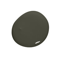 Colourtrend Bridle Path Colour Swatch