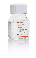 Gibco&trade; GlutaMAX&trade; Supplement