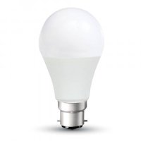 15W A65 LED Bulb 2700K B22