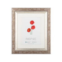 Inspire Frame Two Tone Silver