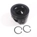 PISTON BODY STD C/W CLIPS