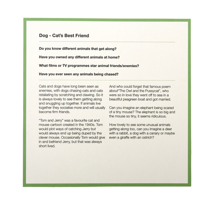 Timeslide Animal Cards 