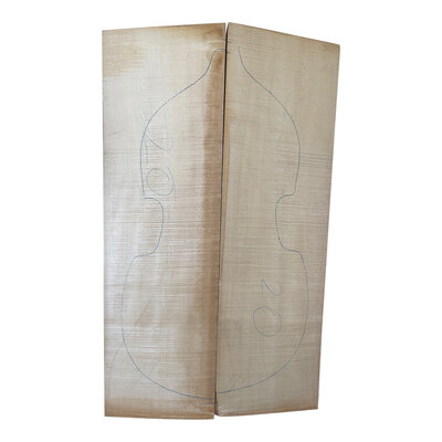 Double bass back and ribs Maple / Sycamore