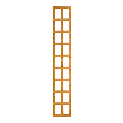 Heavy Duty Trellis 1828x300mm (6x1ft)