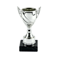 15cm Silver Plastic Cup Trophy (V202S)